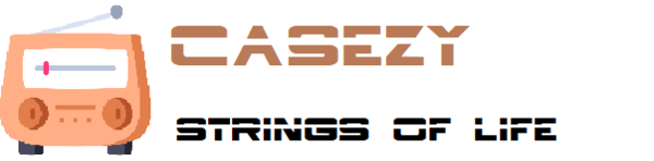 casezy.online